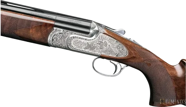 Invictus VII Sporting e Trap, foto de detalhe 1