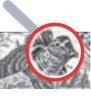 Gravação à mão